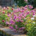 Harlow Carr 2.jpg