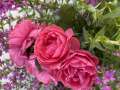 IMG_1879.jpeg
