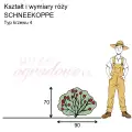 wymiary_SCHNEEKOPPE.png