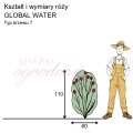 wymiary_kształt_róży_GLOBAL WATER.png