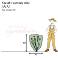 wymiary_róży_ARIFA.png