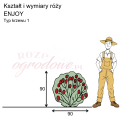wymiary_róży_ENJOY.png