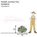 wymiary_róży_KOSMOS.png