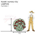 wymiary_róży_LAMPION.png