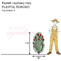 wymiary_róży_PLAYFUL ROKOKO.png