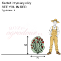 wymiary_róży_SEE YOU IN RED.png