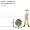 wymiary_róży_TILL EULENSPIEGEL.png