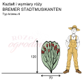 wymiary_kształt_róży_BREMER STADTMUSIKANTEN.png