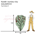 wymiary_kształt_róży_GOLDSPATZ.png