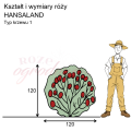 wymiary_kształt_róży_HANSALAND.png