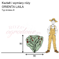 wymiary_kształt_róży_ORIENTA LAILA.png