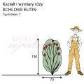 wymiary_kształt_róży_SCHLOSS EUTIN.png