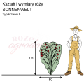 wymiary_kształt_róży_SONNENWELT.png