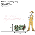 wymiary_kształt_róży_ALCANTARA.png