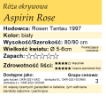 Aspirin Rose.png