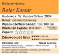 Roter Korsar.png
