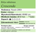 cechy róży rabatowej Crescendo.png