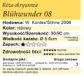 cechy róży okrywowej Blühwunder 08.png
