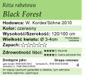 cechy róży rabatowej Black Forest Rose