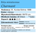 cechy róży miniaturowej Charmant