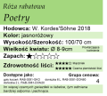 cechy róży rabatowej Poetry