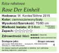 cechy róży rabatowej Rose Der Einheit
