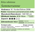 cechy róży rabatowej Sommersonne