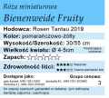 cechy róży miniaturowej Bienenweide Fruity