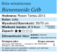 cechy róży miniaturowej Bienenweide Gelb