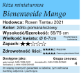 cechy róży miniaturowej Bienenweide Mango