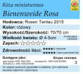 cechy róży miniaturowej Bienenweide Rosa