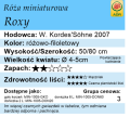Cechy róży miniaturowej Roxy