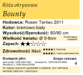 cechy róży okrywowej Bounty.png
