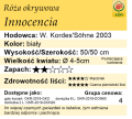 cechy róży okrywowej Innocencia