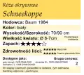 cechy róży okrywowej Schneekoppe.png