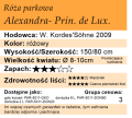 cechy róży parkowej Alexandra- Princesse de Lux