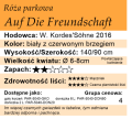 cechy róży parkowej Auf Die Freundschaft.png