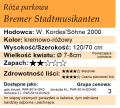 cechy róży parkowej Bremer Stadtmusikanten.png
