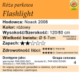 cechy róży parkowej Flashlight.png