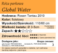 cechy róży parkowej Global Water.png