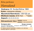 cechy róży parkowej Hansaland