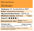 cechy róży parkowej Herkules