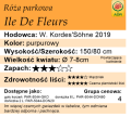 cechy róży parkowej Ile De Fleurs