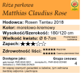 cechy róży parkowej Matthias Claudius Rose