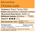 cechy róży parkowej Orienta Laila