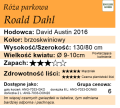 Cechy róży parkowej Roald Dahl