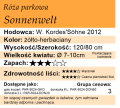 cechy róży parkowej Sonnenwelt