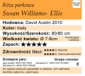 cechy róży parkowej Susan Williams- Ellis.png