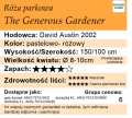 cechy róży parkowej The Generous Gardener