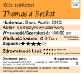 cechy róży parkowej Thomas à Becket.png